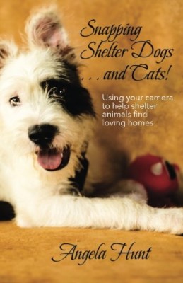 Snapping Shelter Dogs . . . and Cats!: Using your camera to help shelter animals find loving homes