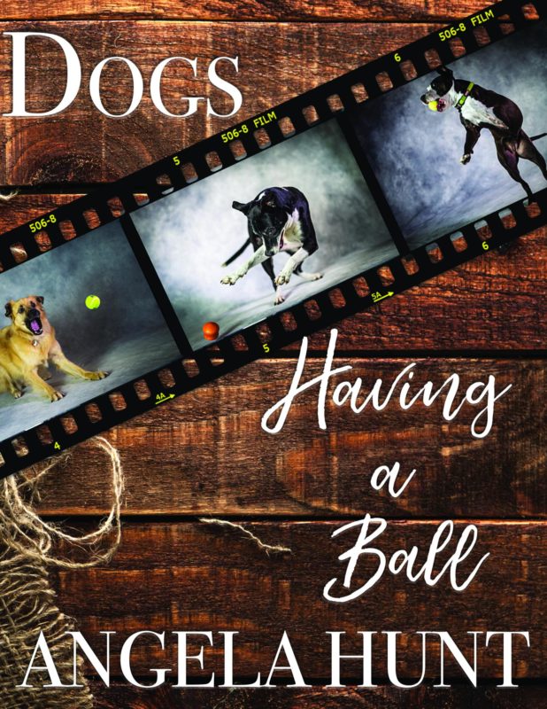 Dogs Having a Ball