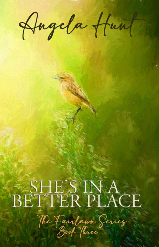 She’s in a Better Place (The Fairlawn Series #3)